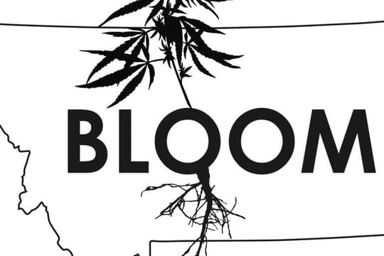 Bloom - Billings