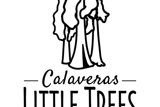 Calaveras Little Trees