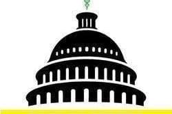 Dank on Arrival - Bay City