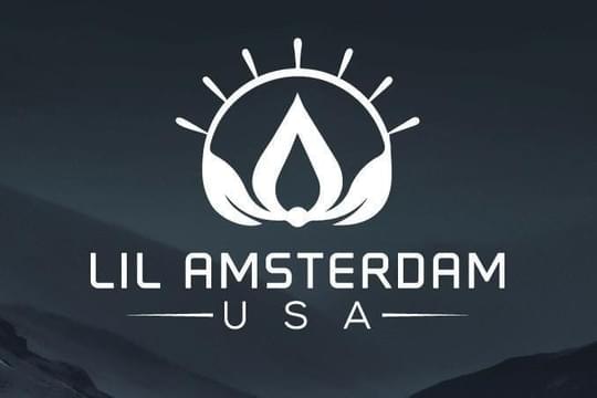 Lil Amsterdam USA