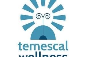 Temescal Wellness - Hudson