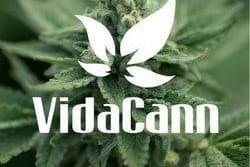 VidaCann - Deerfield Beach
