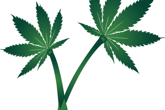 Oasis Healing Center