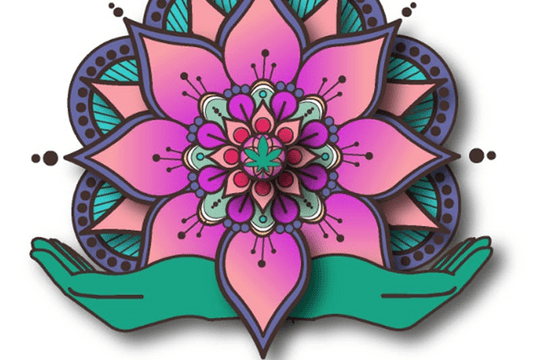 NLightN Cannabis Company