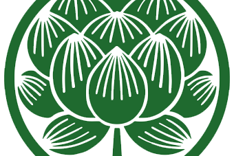 Perfect Plant Hemp Company | CBD