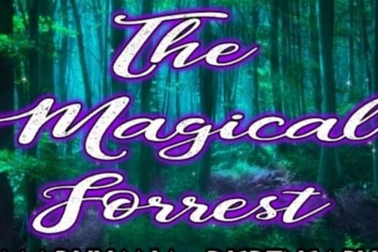 The Magical Forrest Medical Marijuana Dispensary