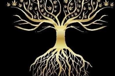 OAK LEAF FINE CANNABIS CO.