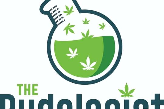The Budologist