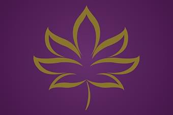 DC Holistic Wellness