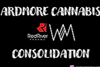 Ardmore Cannabis Consolidation