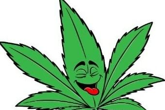 MK's Cure It with Cannabis