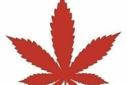 Canna North Cannabis - Nepean