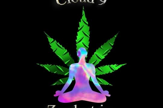 Cloud 9 Zendustries