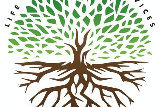 Life Enhancement Services