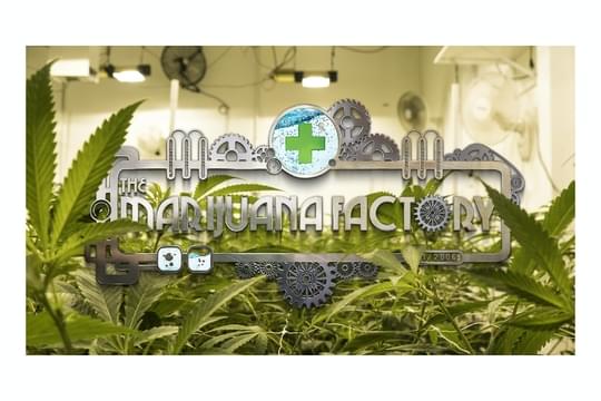 Xzibit West Coast Dispensary