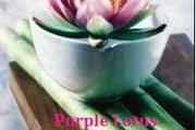 Purple Lotus Patient Center