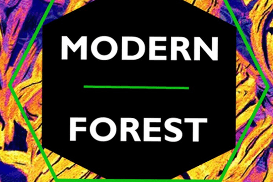 Modern Forest