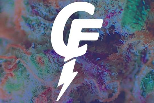 Cloud Family Collective