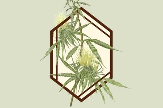 The Botanist - Queens