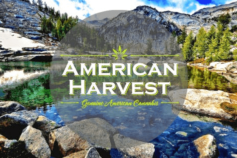 American Harvest