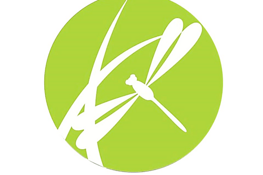 Dragonfly Wellness Center