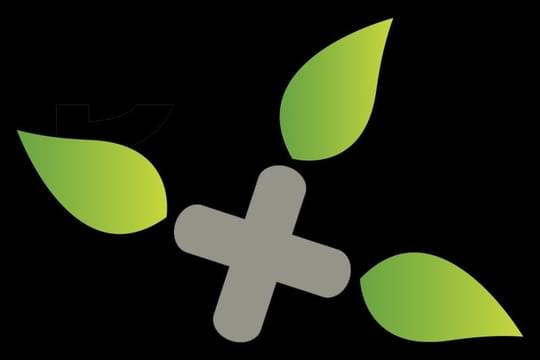 The Downtown Dispensary