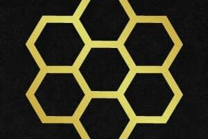 The Hunny Pot Cannabis Co. - Toronto - Queen