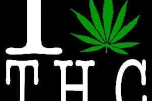 THC - The Healing Center