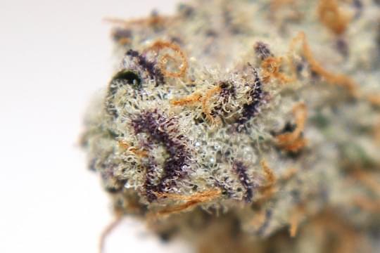 Three Rivers Dispensary Pueblo West