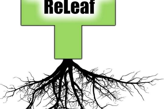 Alternative ReLeaf - Libby