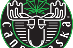 Cannabaska - Midtown