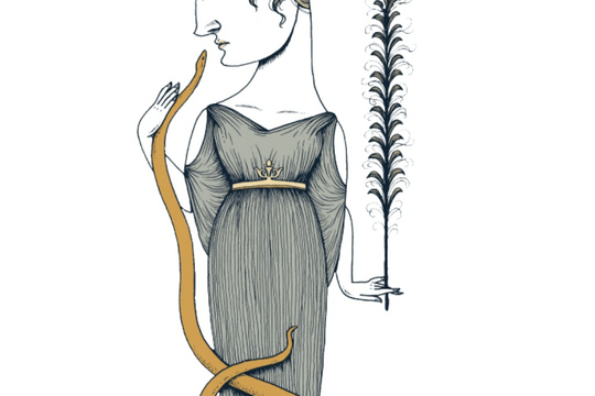 Panacea Wellness - Middleborough