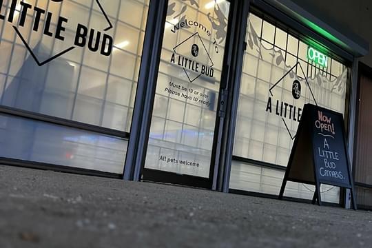 A Little Bud - Summerland