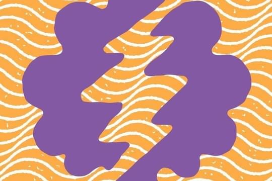 Electric Lettuce Happy Valley Dispensary