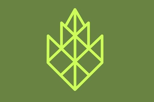 ElectraLeaf - Chickasha