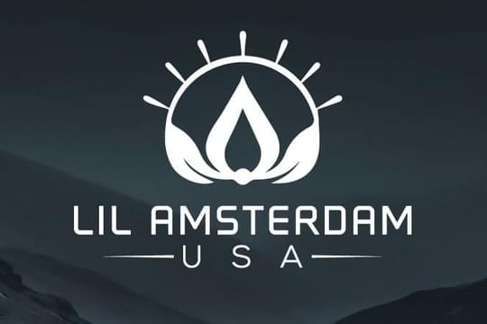 Lil Amsterdam USA