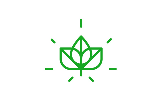 Aloha Green Apothecary Waikiki