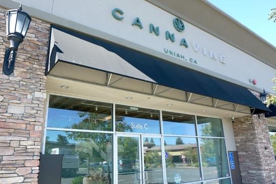 Cannavine - Ukiah