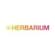 Herbarium LA