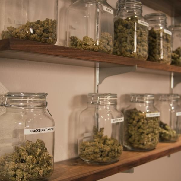 Bridge City Collective Thumbnail Image