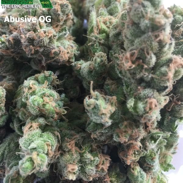 The Epic Remedy Thumbnail Image