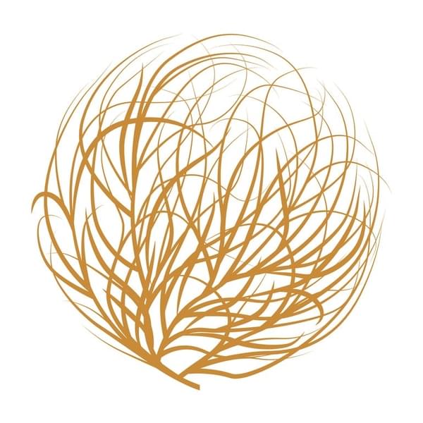 Tumbleweed - De Beque Thumbnail Image