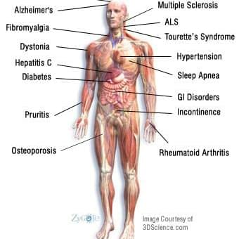 ReLeaf Wellness Thumbnail Image