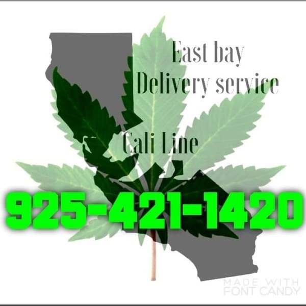 Cali Line Thumbnail Image