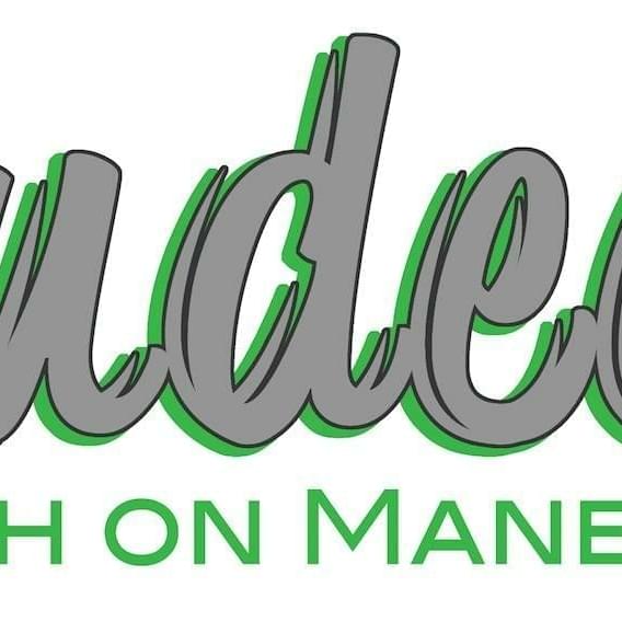 Budeez Thumbnail Image