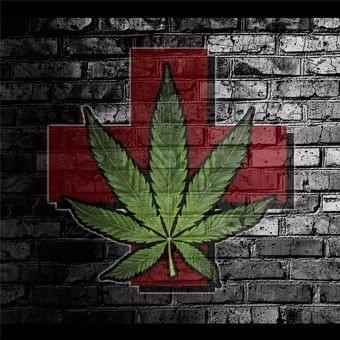 Bud Junction Thumbnail Image