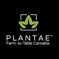 Plantae Bend Thumbnail Image