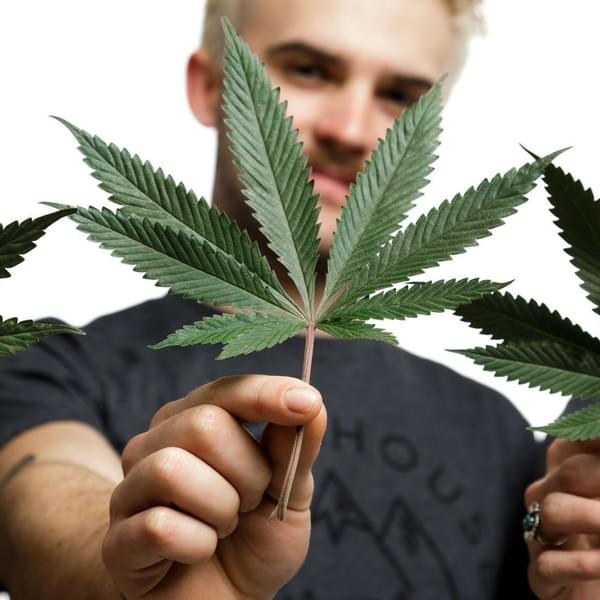 Greenhouse Farmacy Thumbnail Image