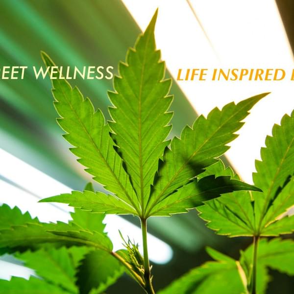 Market Street Wellness Thumbnail Image