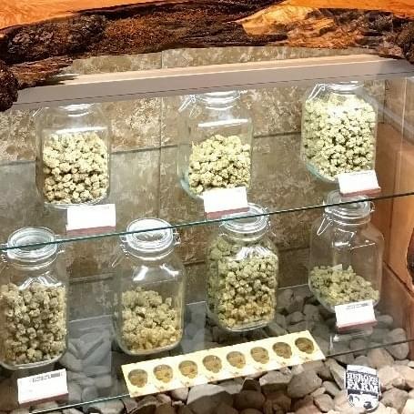 Lifted Northwest Thumbnail Image